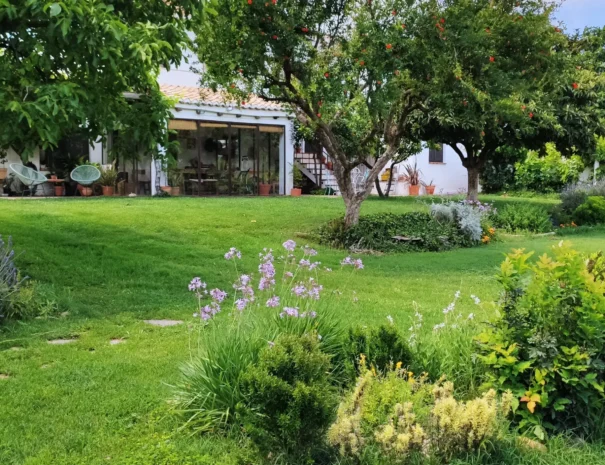 Exterior-2